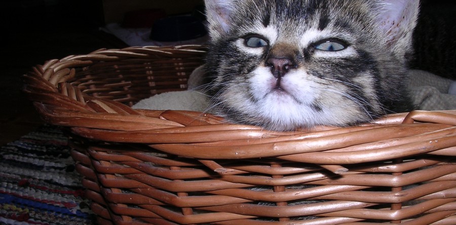 Üben für geschmeidigen NACKEN