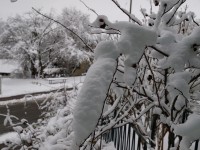 Qualitäten des Dezember – ANKOMMEN
