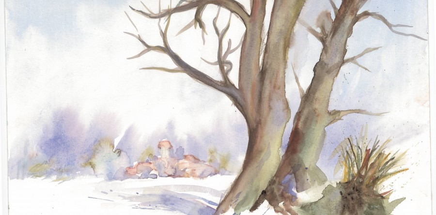 Mein Asana des Jahres 2011— BAUM