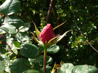 TEXT fuer den SOMMER – “triffst du das ZAUBERWort”