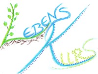 LebensKurs – mit Hildegard in ein weites, buntes LebensFeld!