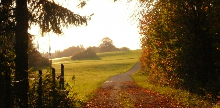 Ende des SonnenJahres–Beginn des Winterjahres