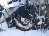 Monatsspruch – Februar –