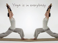 Einzelstunde Yoga – individuell, passend, bewegend