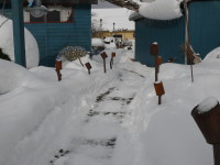 WinterZeit–Entwicklungszeit
