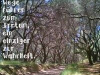LiebesWorte – Worte der Liebe