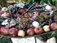 HerbstWandel – TagErnte