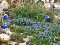 CD Yoga üben im April