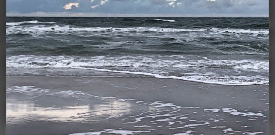 Live-Waves   —   LebensWellen YOGA