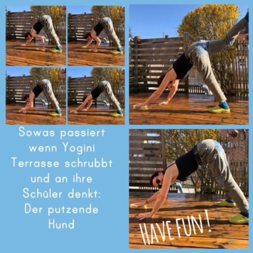 Yoga via Zoom – LIVE zusammen Yoga üben